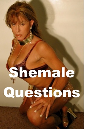 Shemale Escort Questions
